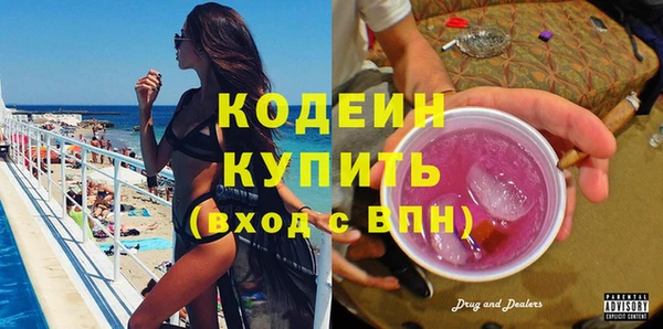 гашик Алексин