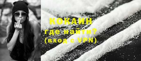 гашик Алексин