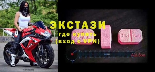 гашик Алексин